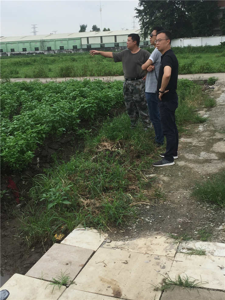 XPJ(中国大陆)有限公司官网