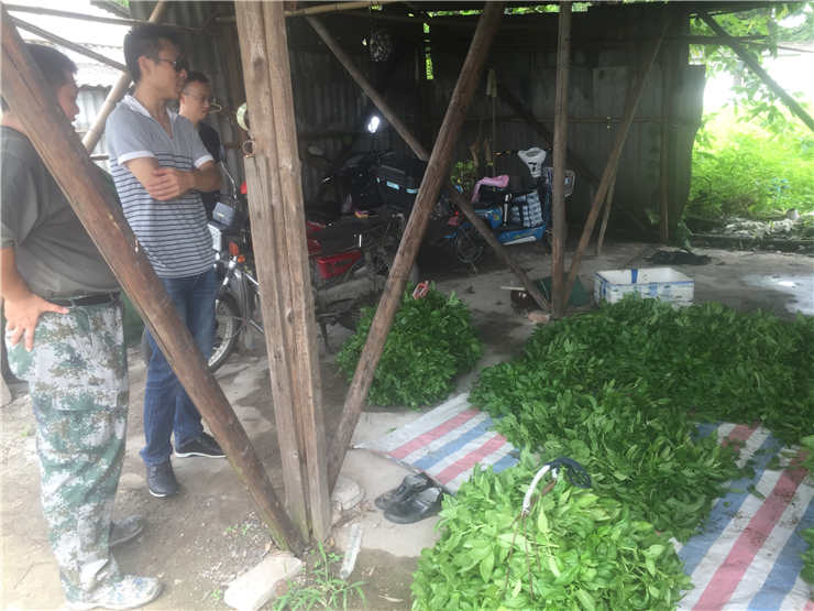 XPJ(中国大陆)有限公司官网