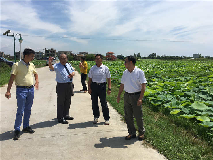 XPJ(中国大陆)有限公司官网