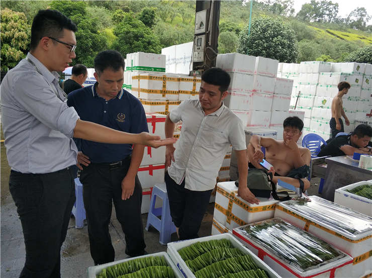 XPJ(中国大陆)有限公司官网