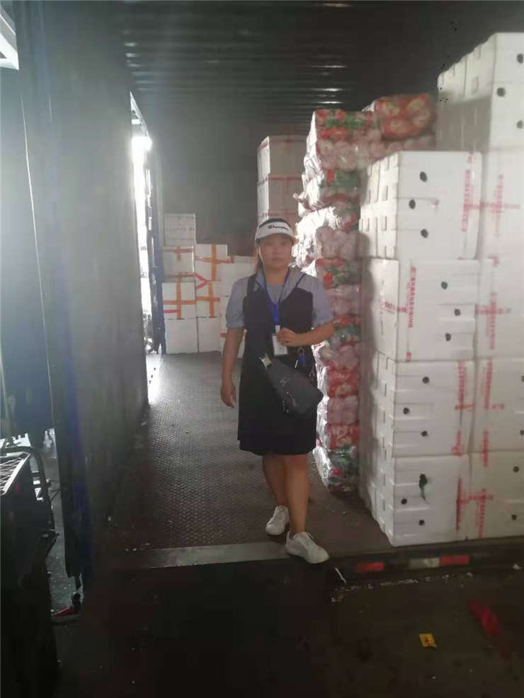 XPJ(中国大陆)有限公司官网