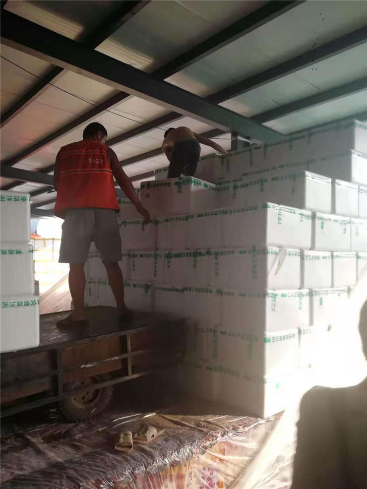 XPJ(中国大陆)有限公司官网