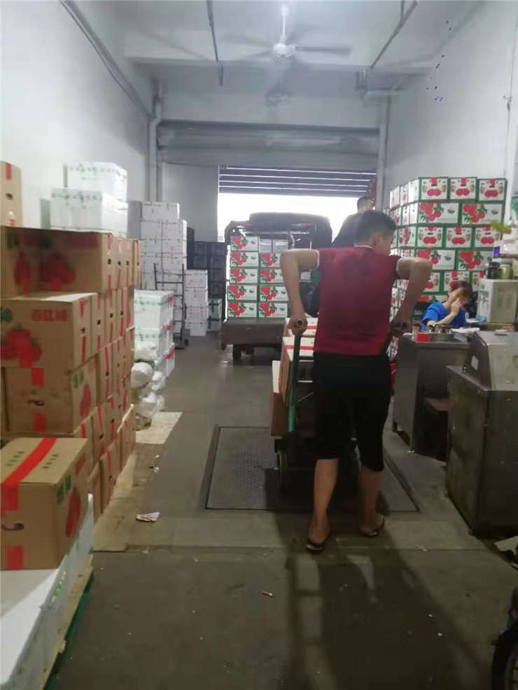 XPJ(中国大陆)有限公司官网