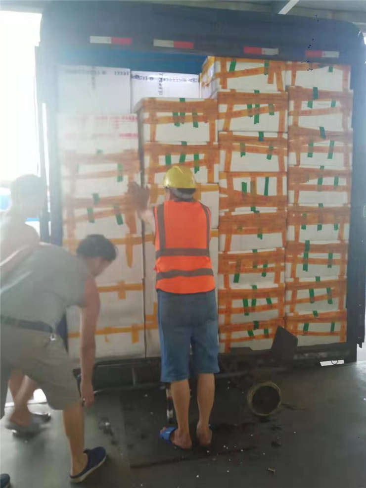 XPJ(中国大陆)有限公司官网