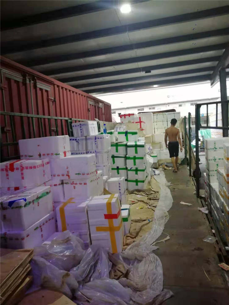 XPJ(中国大陆)有限公司官网