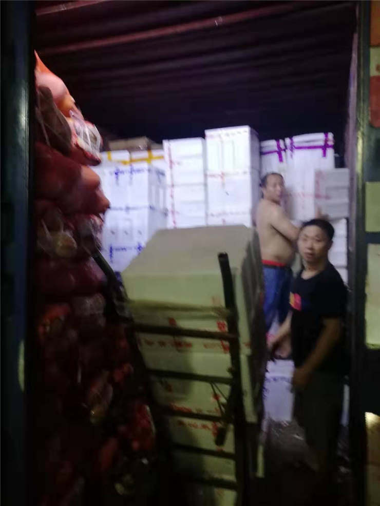 XPJ(中国大陆)有限公司官网