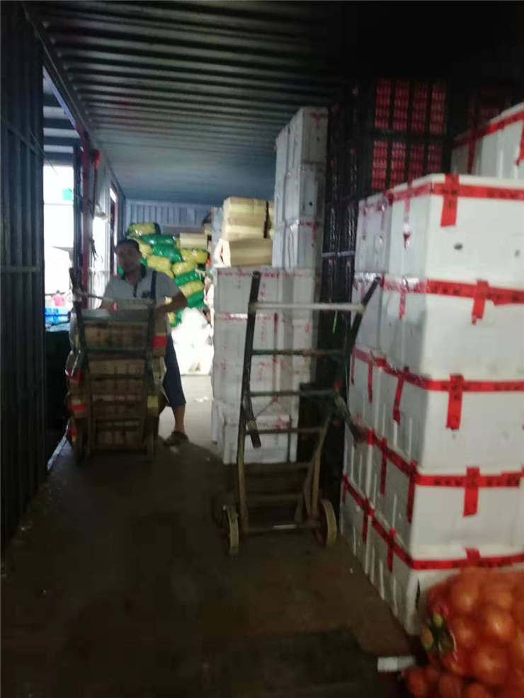 XPJ(中国大陆)有限公司官网