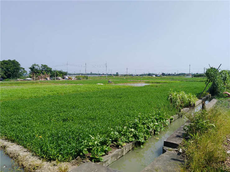 XPJ(中国大陆)有限公司官网