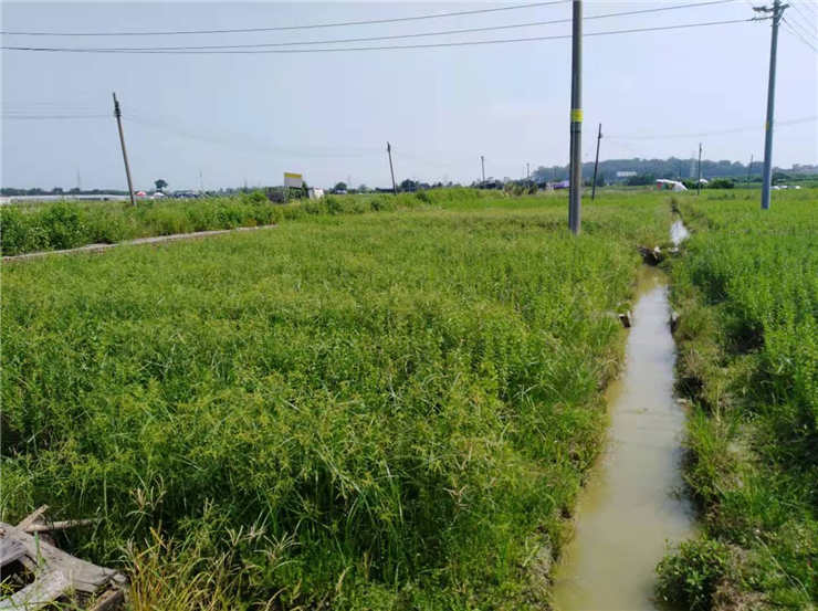 XPJ(中国大陆)有限公司官网