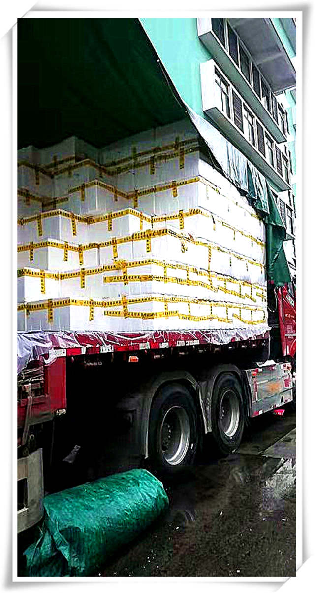 XPJ(中国大陆)有限公司官网