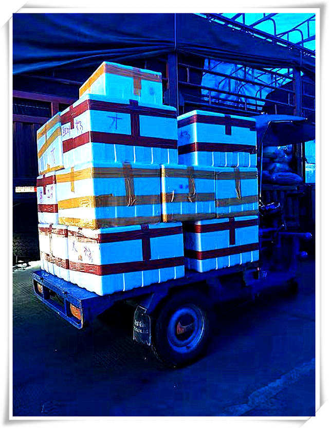 XPJ(中国大陆)有限公司官网