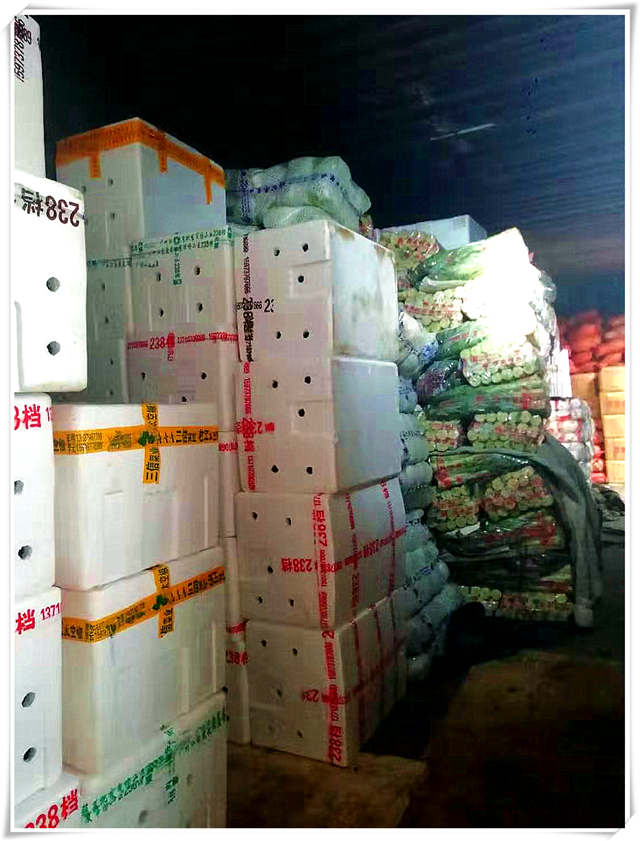 XPJ(中国大陆)有限公司官网