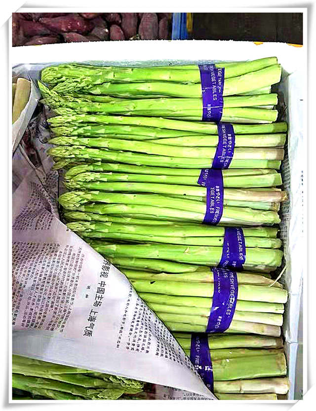 XPJ(中国大陆)有限公司官网