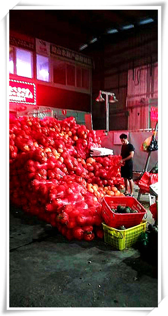 XPJ(中国大陆)有限公司官网