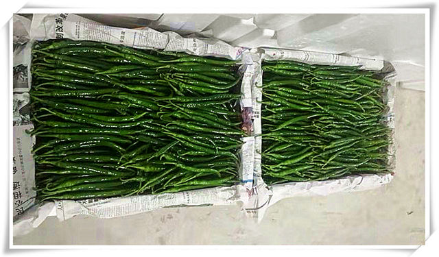 XPJ(中国大陆)有限公司官网