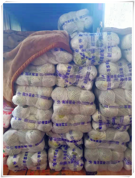 XPJ(中国大陆)有限公司官网