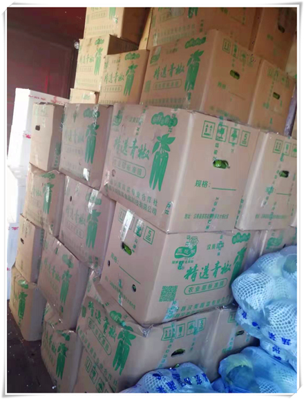 XPJ(中国大陆)有限公司官网