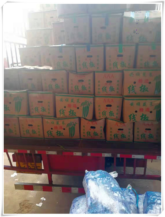 XPJ(中国大陆)有限公司官网