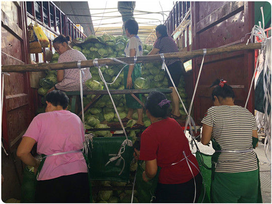 XPJ(中国大陆)有限公司官网