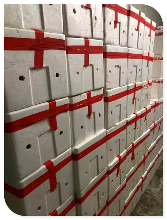 XPJ(中国大陆)有限公司官网