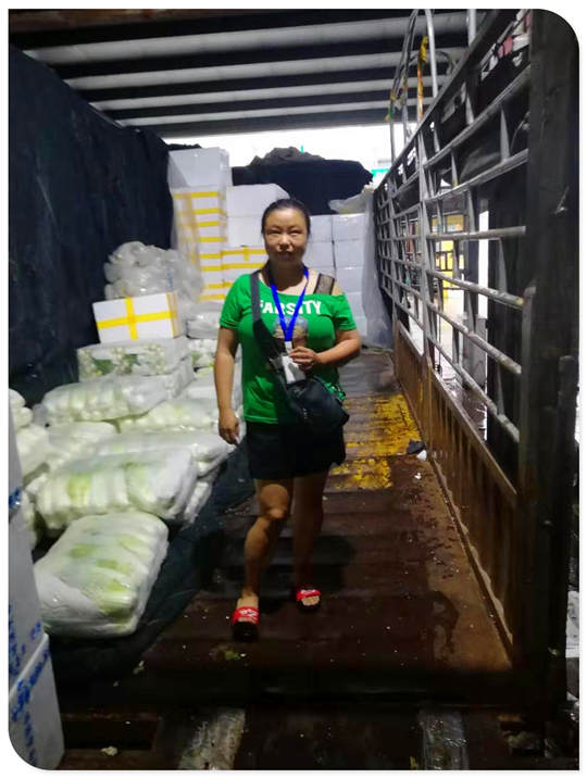 XPJ(中国大陆)有限公司官网