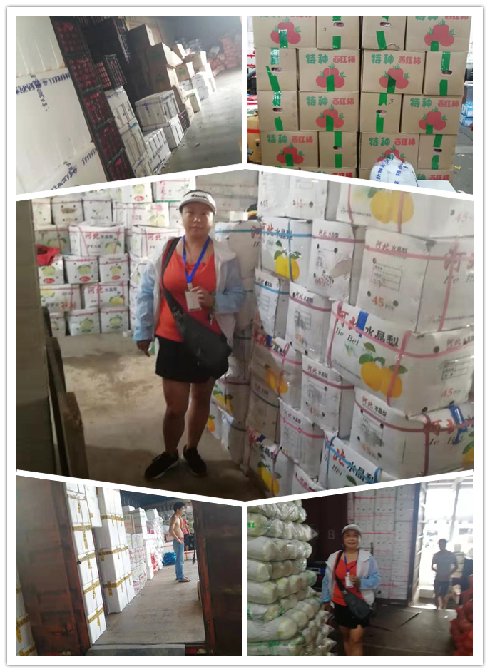 XPJ(中国大陆)有限公司官网