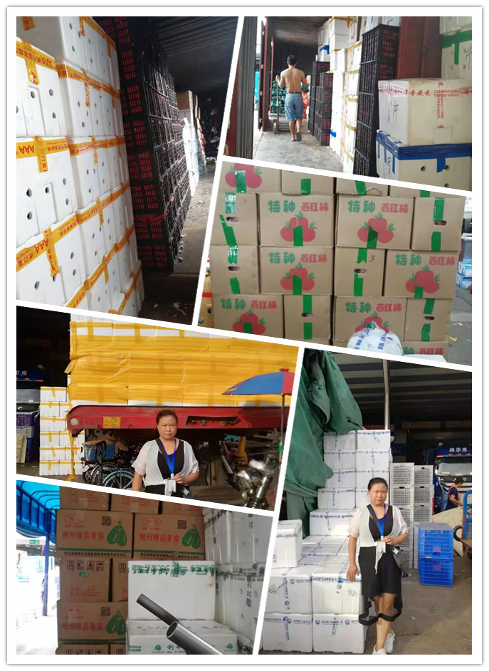 XPJ(中国大陆)有限公司官网