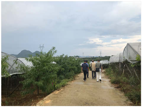 XPJ(中国大陆)有限公司官网