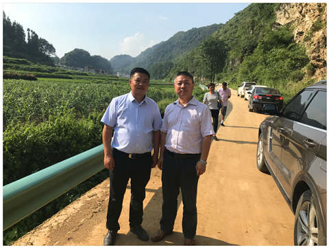 XPJ(中国大陆)有限公司官网