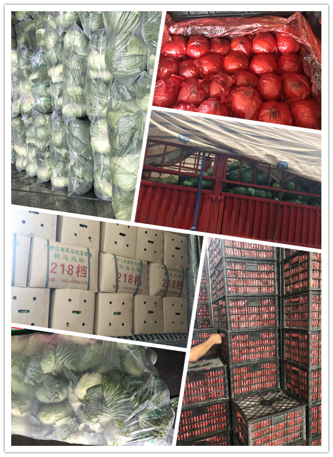 XPJ(中国大陆)有限公司官网