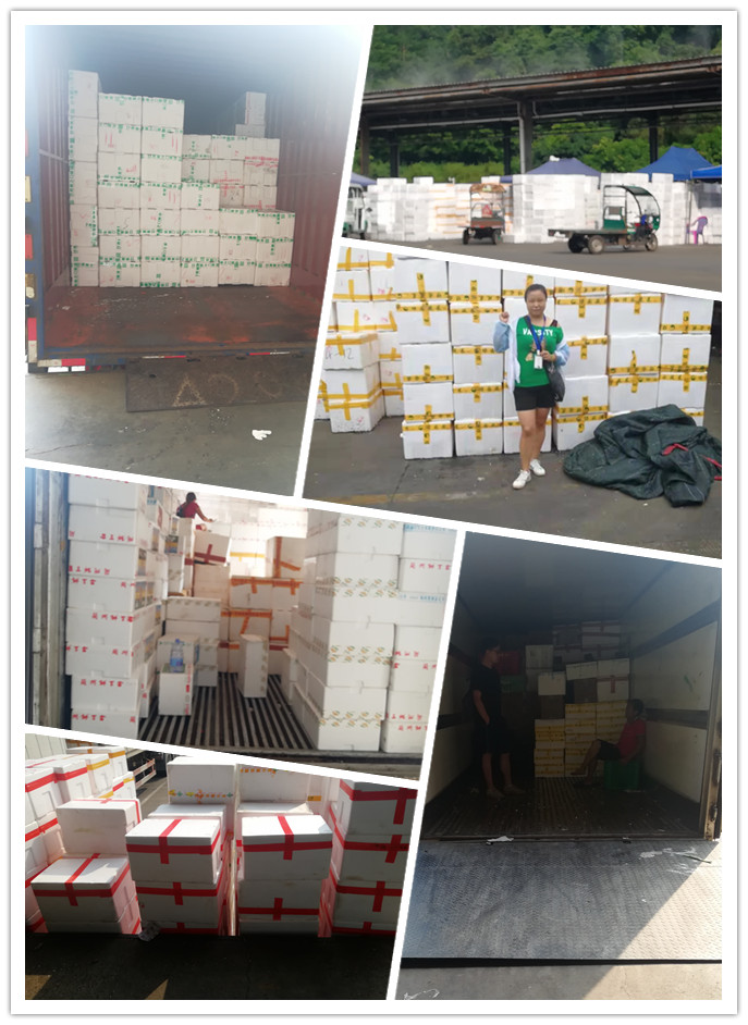 XPJ(中国大陆)有限公司官网