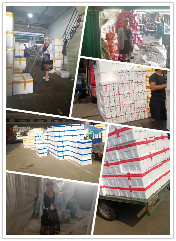 XPJ(中国大陆)有限公司官网