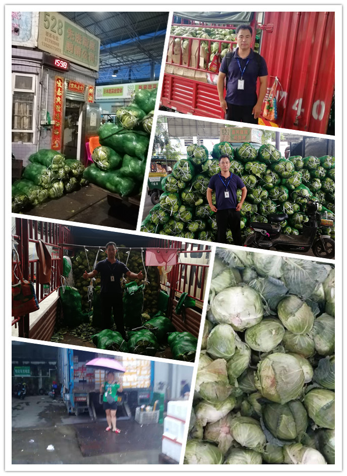 XPJ(中国大陆)有限公司官网