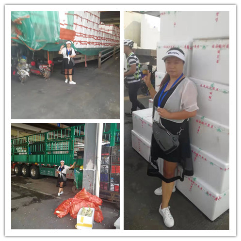 XPJ(中国大陆)有限公司官网