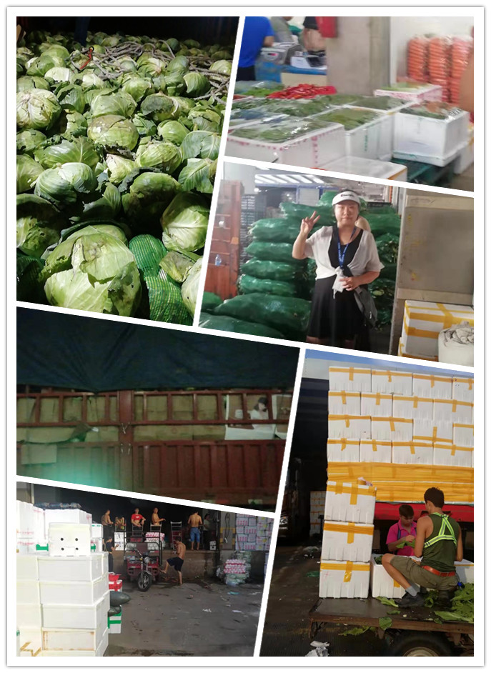 XPJ(中国大陆)有限公司官网