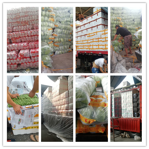 XPJ(中国大陆)有限公司官网