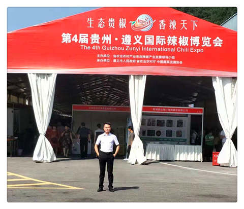 XPJ(中国大陆)有限公司官网