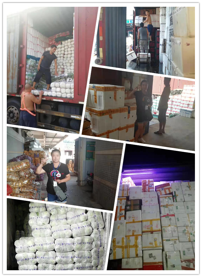 XPJ(中国大陆)有限公司官网