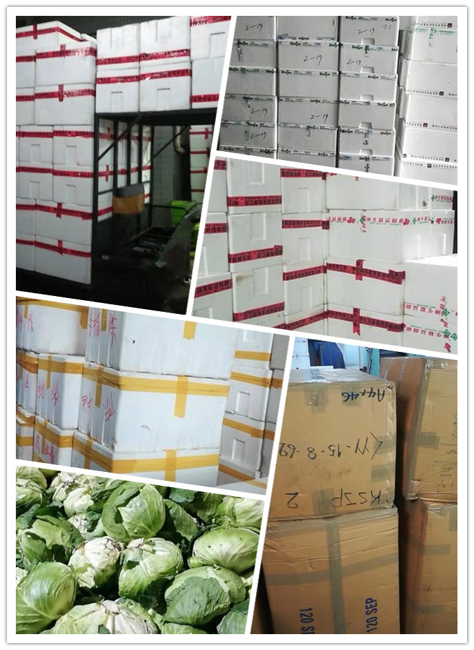 XPJ(中国大陆)有限公司官网