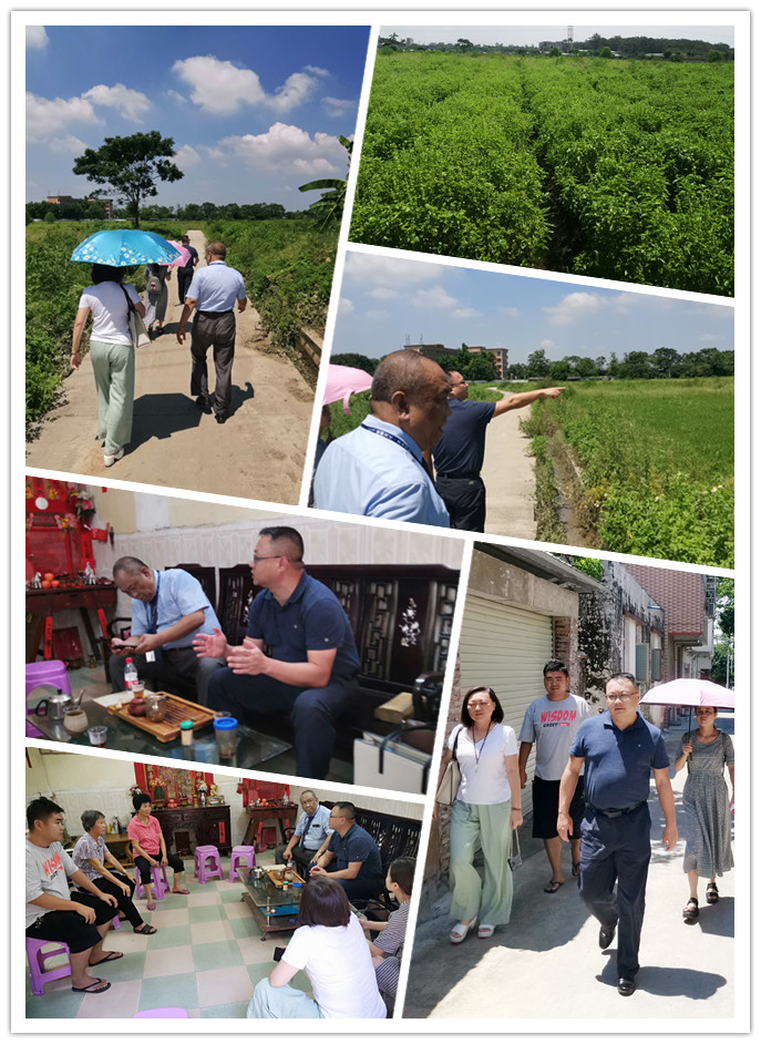 XPJ(中国大陆)有限公司官网