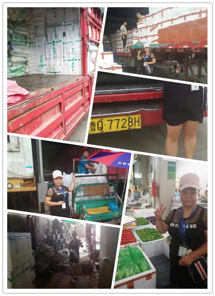 XPJ(中国大陆)有限公司官网