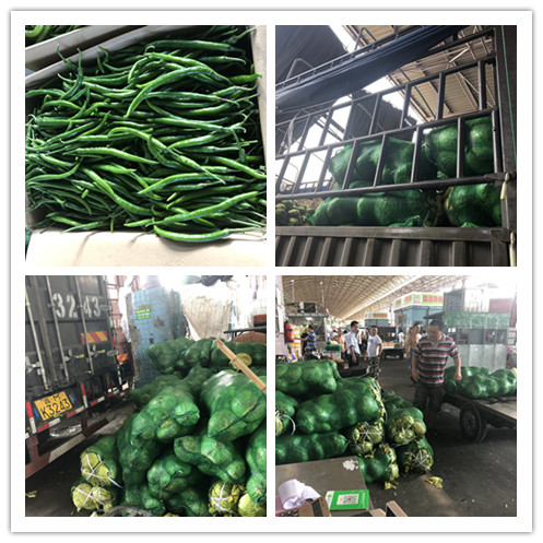 XPJ(中国大陆)有限公司官网