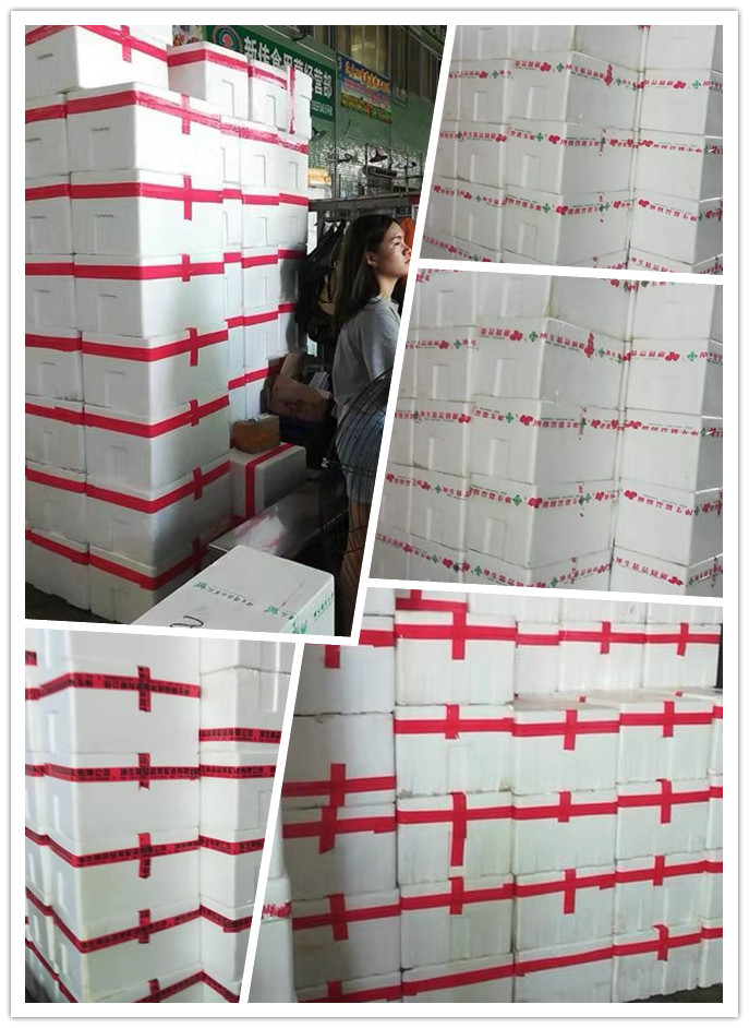 XPJ(中国大陆)有限公司官网