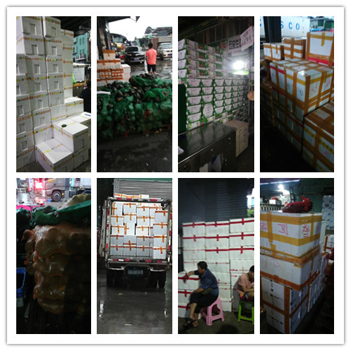 XPJ(中国大陆)有限公司官网