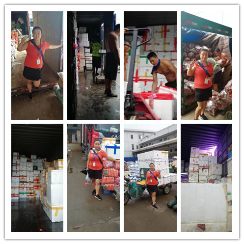 XPJ(中国大陆)有限公司官网