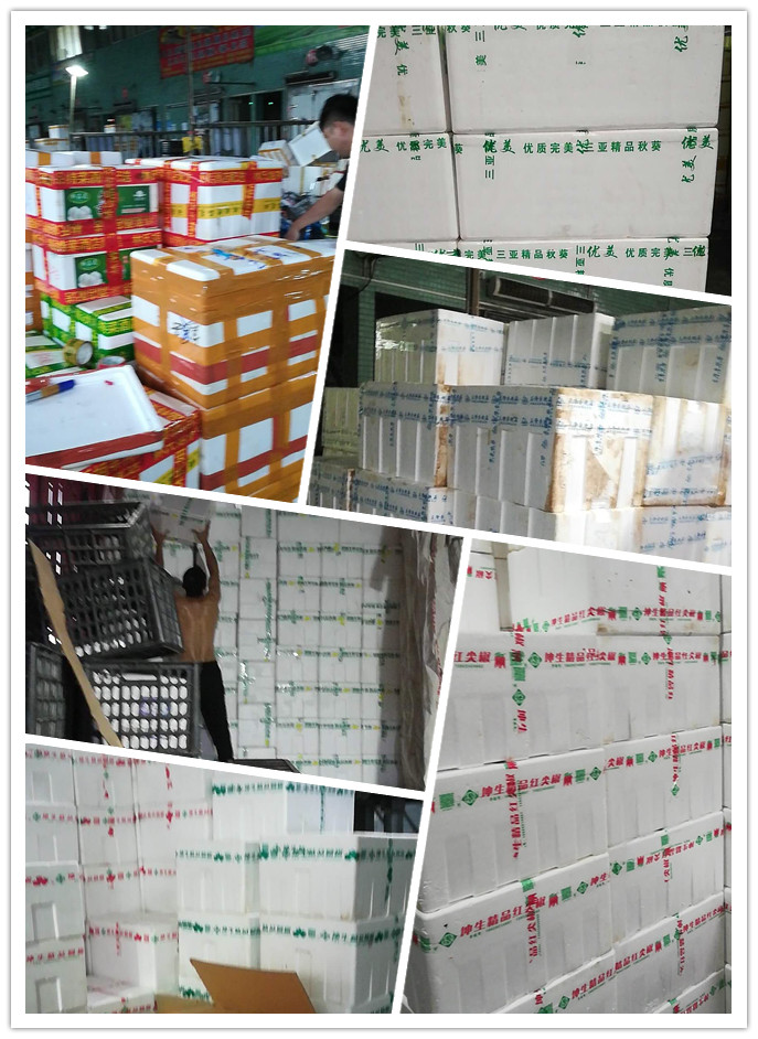 XPJ(中国大陆)有限公司官网