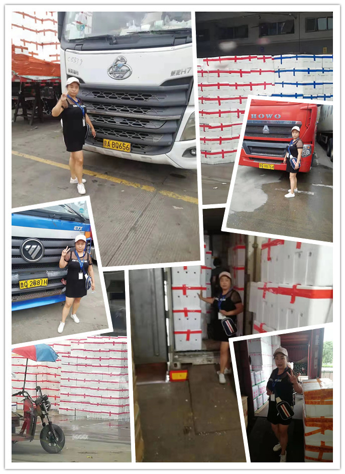 XPJ(中国大陆)有限公司官网