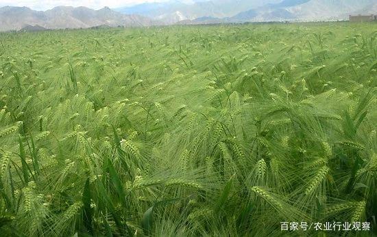 XPJ(中国大陆)有限公司官网