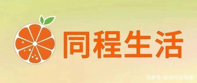 XPJ(中国大陆)有限公司官网