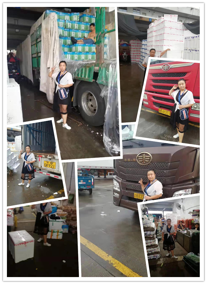 XPJ(中国大陆)有限公司官网